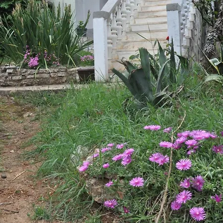 Olivera Apartments Apartman