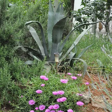 Olivera Appartement Pula