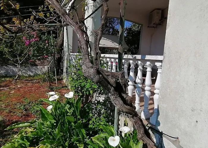 Apartment Olivera Apartments