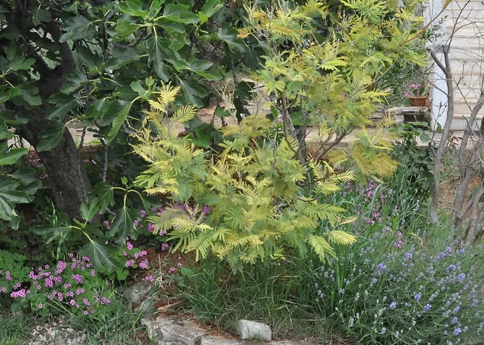 Olivera Апартаменти *