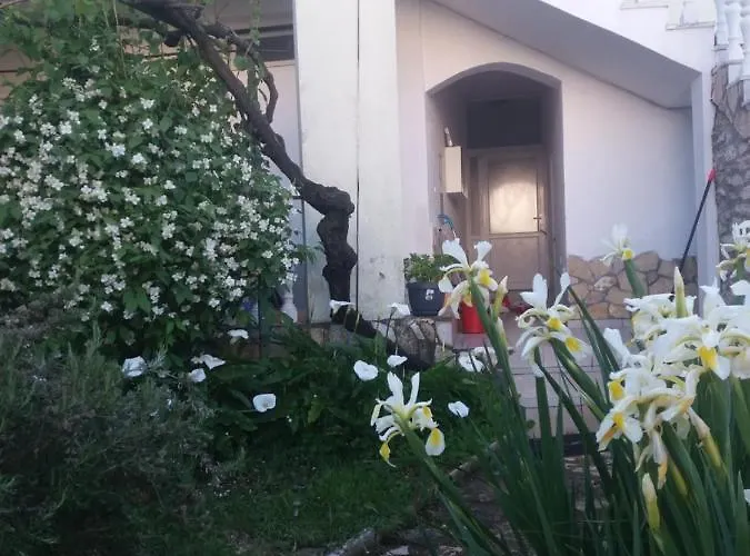 Olivera Apartments * Pula