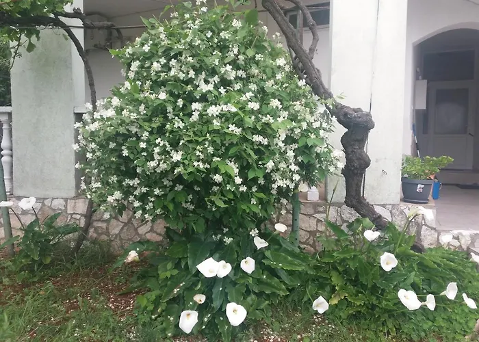 Olivera Apartments Apartment