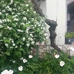 Olivera Apartments