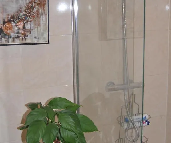 Olivera Apartments * Pula