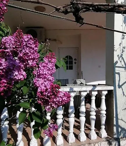 Olivera Apartments * Pula