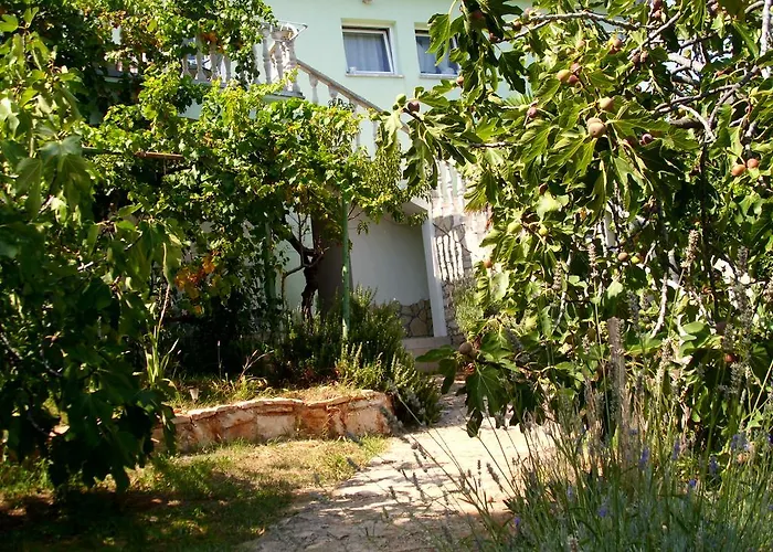 Olivera Apartments Lägenhet *