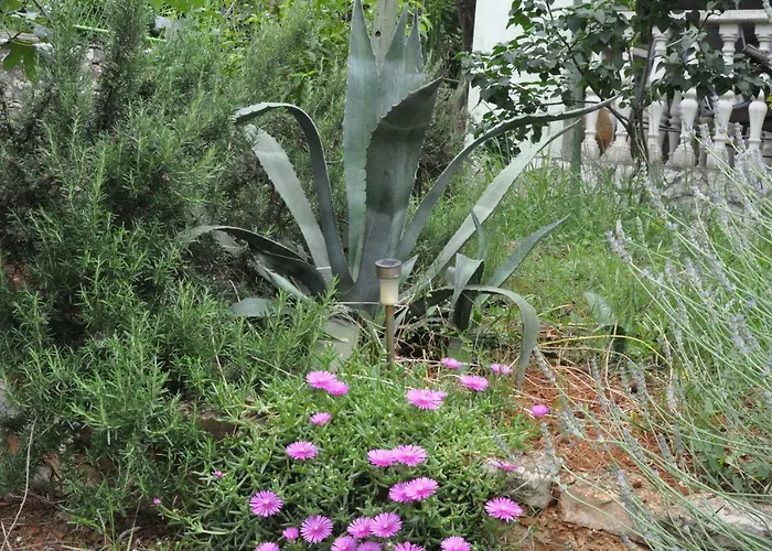 Olivera Apartments Lägenhet Pula