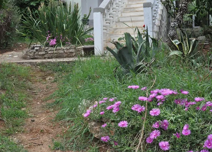 Olivera Apartments Lägenhet